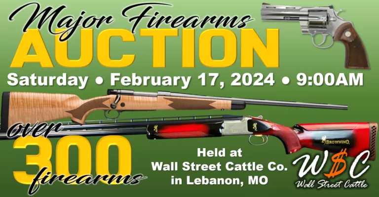 GunAuctionWebGraphic-768x399